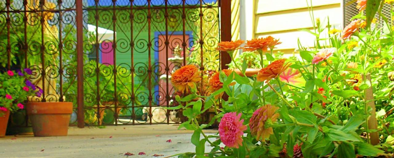 Creole Gardens Guesthouse And Inn نيو أورلينز المظهر الخارجي الصورة